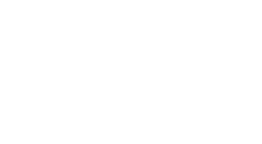 Rinsa Inc.